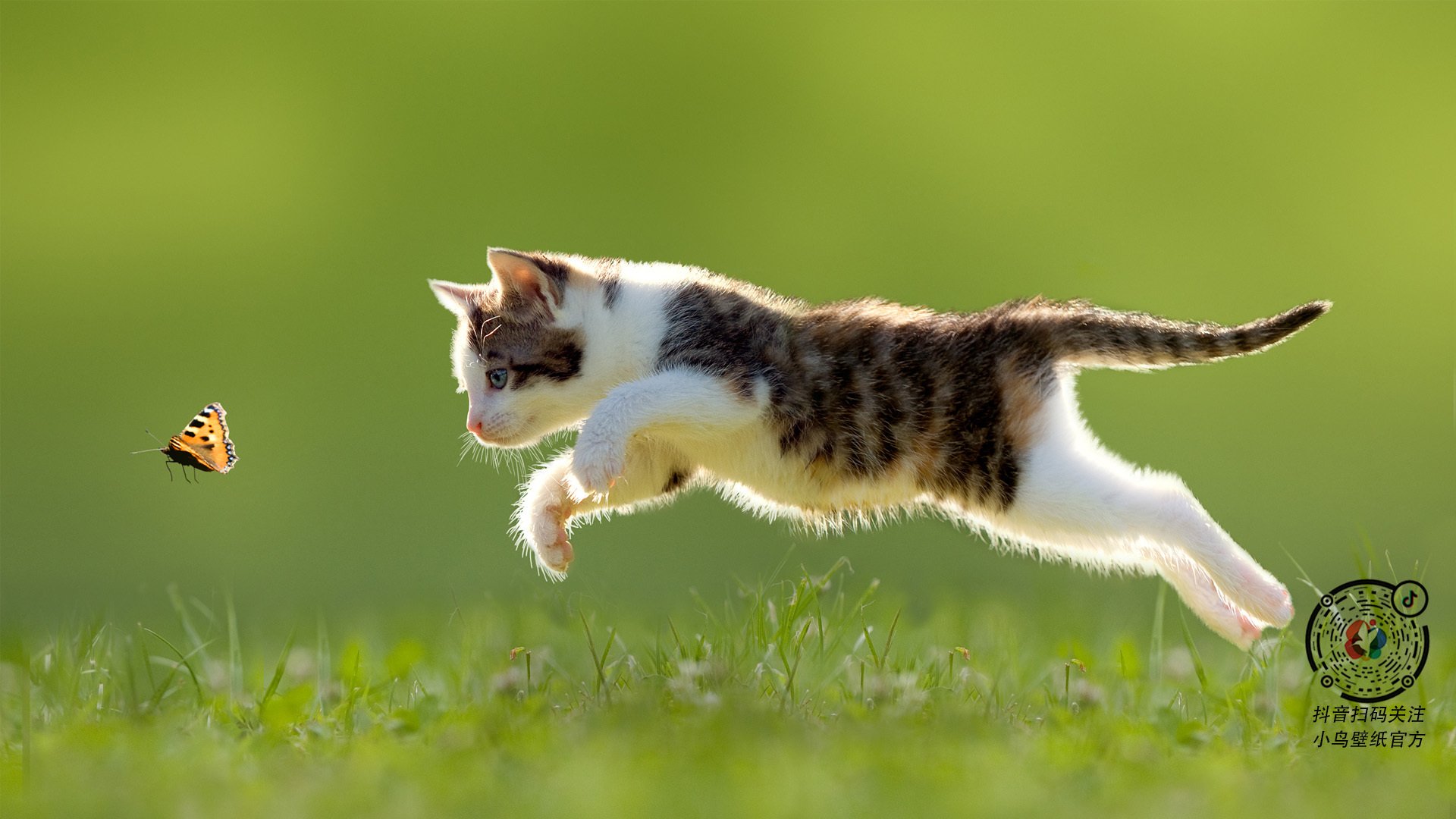 拉亚一夫当关，奥地利对阵美国之战成门神封神舞台